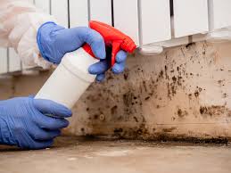 Best Crawl Space Mold Remediation  in Fort Worth, TX